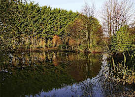 Mercure Newbury West Grange Hotel 5