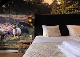 Hotel De Oringer Marke & Stee by Flow 4