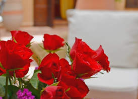 Riad Hadda 2