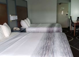 AmericInn by Wyndham Mauston 3