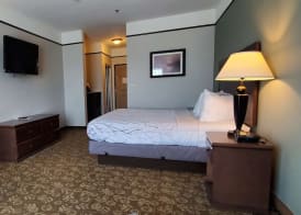 Best Western Plus Emory at Lake Fork Inn & Suites 5