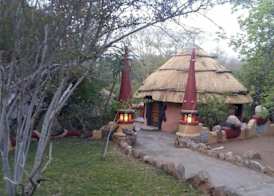 Mali Mali Safari Lodge 2