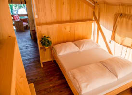 Sunflower Camping 2