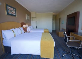 Holiday Inn BULAWAYO by IHG 3