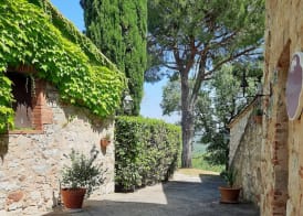 Borgo Livernano 2