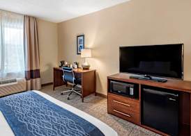 Comfort Inn & Suites Virginia Beach - Norfolk Airport 5