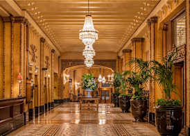 The Roosevelt New Orleans, A Waldorf Astoria Hotel 4