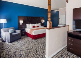 Best Western Spring Hill Inn & Suites 4