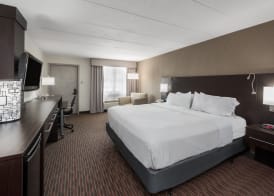 Holiday Inn SAINT LOUIS WEST AT SIX FLAGS by IHG 5