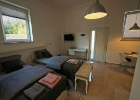 Apartments Drevi 3