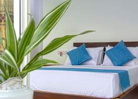 Magical Mountain Resort 3