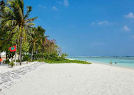 Coconut Tree Hulhuvilla Beach 5