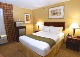 Holiday Inn Express & Suites ST. LOUIS WEST - FENTON by IHG 5