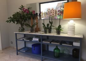 Belvedere Boutique - Adults only 2
