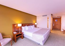 Wyndham Puerto Varas Pettra 2