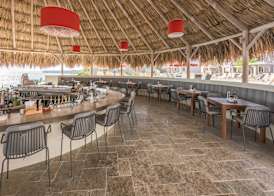 Coral Estate Luxury Resort 3