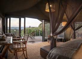 HillsNek Safari Camp – Amakhala Game Reserve 5