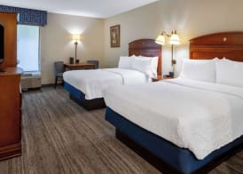 Hampton Inn By Hilton Richmond Chester, VA 5