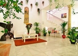 Un Patio al Sur 3