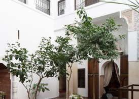 Riad Assala 4
