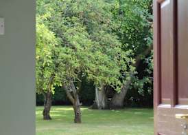 Hope Orchard En-Suite Rooms 5