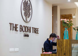The Bodhi Tree Ladakh 4