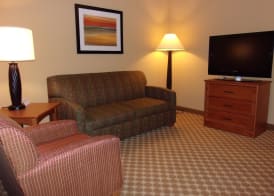 Holiday Inn Express & Suites CHICAGO WEST-ROSELLE by IHG 4