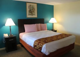 Rodeway Inn Orleans - Cape Cod 5