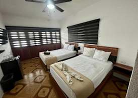 BALAM Playa - 15Th Ave 4