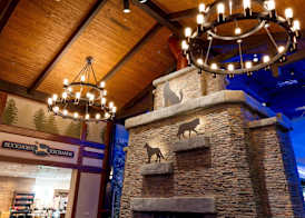 Great Wolf Lodge Illinois 2