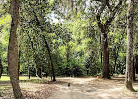 The Inn at Middleton Place 2