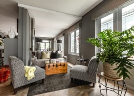Franschhoek Boutique Hotel - Lion Roars Hotels & Lodges 3