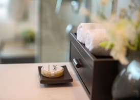 Radisson Chongqing South Hot Spring 4