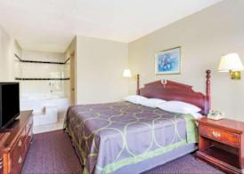 Ashland Studio Inn Richmond North near Kings Dominion -Listing Partner 4