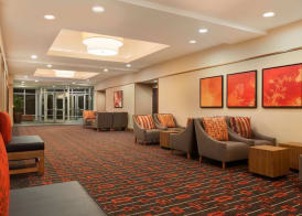 Hyatt Place Houston/The Woodlands 3
