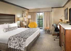 Crowne Plaza Resort ASHEVILLE by IHG 5