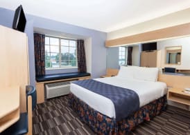 Microtel Inn & Suites by Wyndham Conyers/Atlanta Area 4