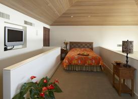 Puunoa - CoralTree Residence Collection 3