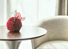 Amara Shanghai 4