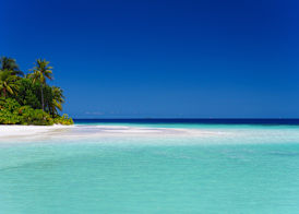 V Villas Maldives at Mirihi - MGallery Collection 4