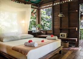 Our Jungle House 4