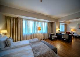 Hotel Rivo Timisoara 2