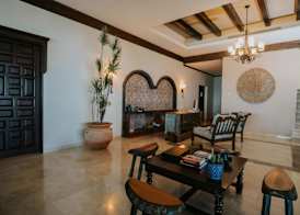 Orchid House Baja 4