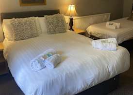 Turf Hotel 2