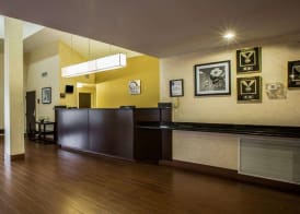 Sleep Inn Asheville - Biltmore West 5