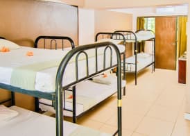 Bamboo Backpackers 4