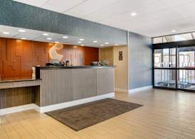 Comfort Inn & Suites Danbury-Bethel 4