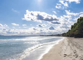 Zafiro Alzinar Mar Adults Only - Refurbished 2025 3