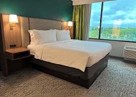 Holiday Inn NASHVILLE DOWNTOWN - STADIUM by IHG 4