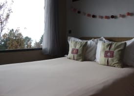 Hotel La Canela 3